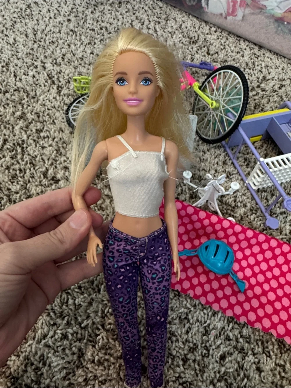 Barbie Doll with Accessories